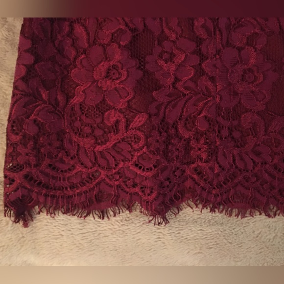 Raspberry red lace Ever New dress - Picture 8 of 9